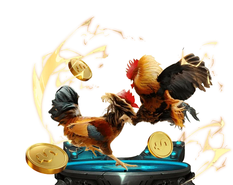 Đội ngũ twin68 App làm việc